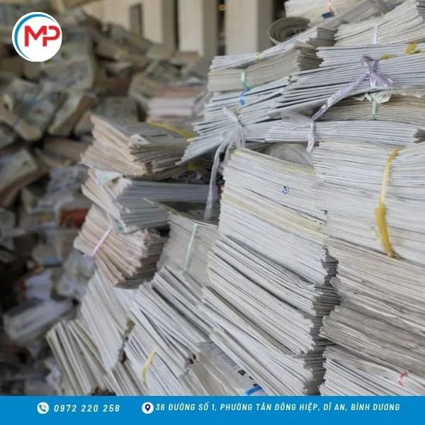 Thu mua giấy phế liệu Bình Dương giá cao, hỗ trợ tận nơi