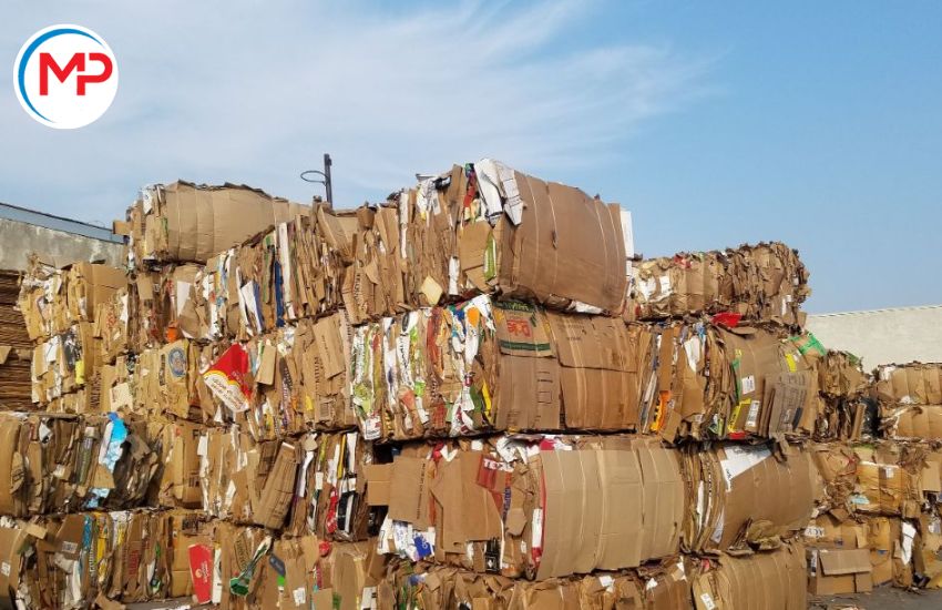 Làm sao để bán giấy carton phế liệu giá cao?